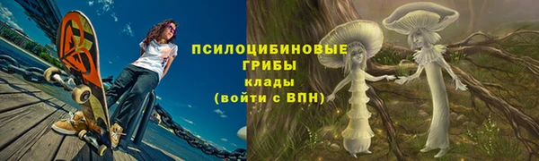 прущий лед Абаза