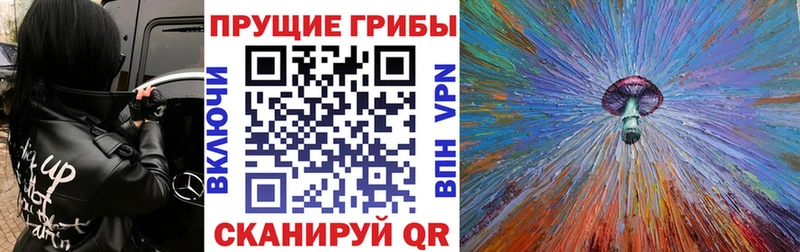 Галлюциногенные грибы MAGIC MUSHROOMS  Оренбург 